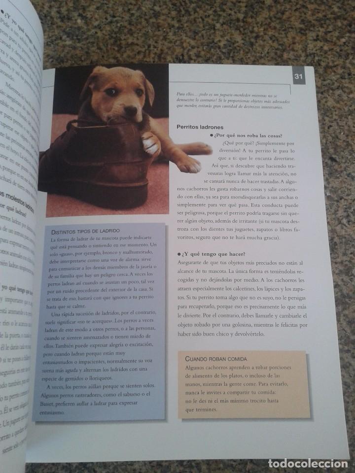 Libros: COMO EDUCAR A TU PERRITO PARA NI&Ntilde;OS -- SARAH WHITEHEAD -- LIBSA - 2003 -- - Foto 3