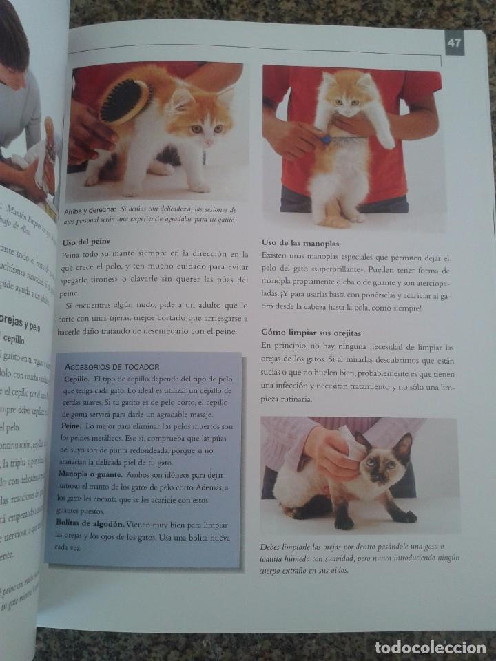 Libros: COMO EDUCAR A TU GATITO PARA NI&Ntilde;OS -- SARAH WHITEHEAD -- LIBSA - 2003  -- - Foto 2