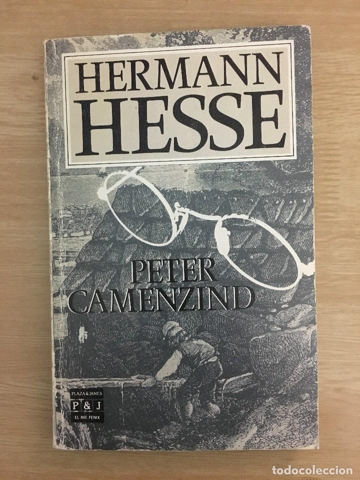 Libros: PETER CAMENZIND, HEMANN HESSE - Foto 1