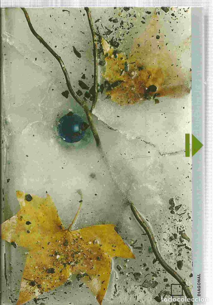 Libros: SECRETO DE AMANDA, EL - SCHWARZ, CHRISTINA - Foto 1