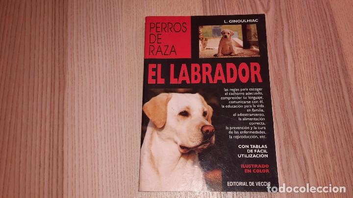 Libros: Perros de raza. El labrador. L. Ginoulhiac. Editorial de Vecchi. 2004 - Foto 1