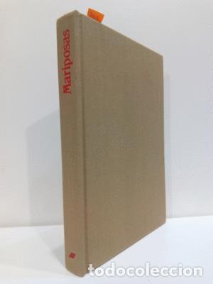 Libros: MARIPOSAS - NOV&Aacute;K, IVO - Foto 1
