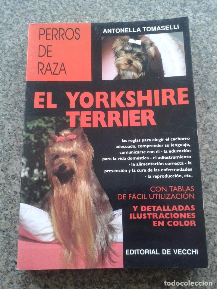 Libros: EL YORKSHIRE TERRIER -- ANTONELLA TOMASELLI -- EDITORIAL DE VECCHI - 1999 -- - Foto 1