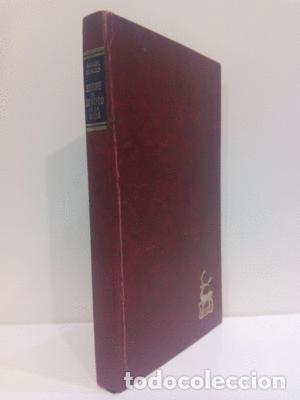 Libros: SOBRE EL SENTIDO DE LA VIDA - BENZO, MIGUEL - Foto 1