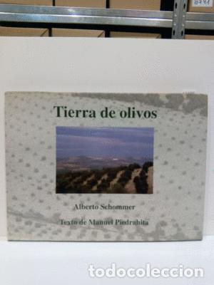 Libros: TIERRA DE OLIVOS - PIEDRAHITA, MANUEL - Foto 1