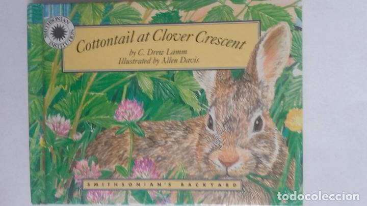 Libros: Cottontail at Clover Crescent - C. Drew Lamm - Foto 1