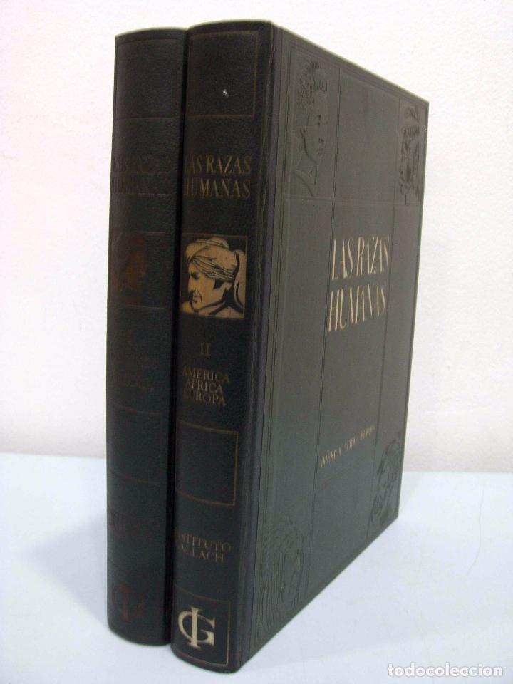 Libros: LAS RAZAS HUMANAS (2 VOLS.). INSTITUTO GALLACH, 1971. - Foto 2