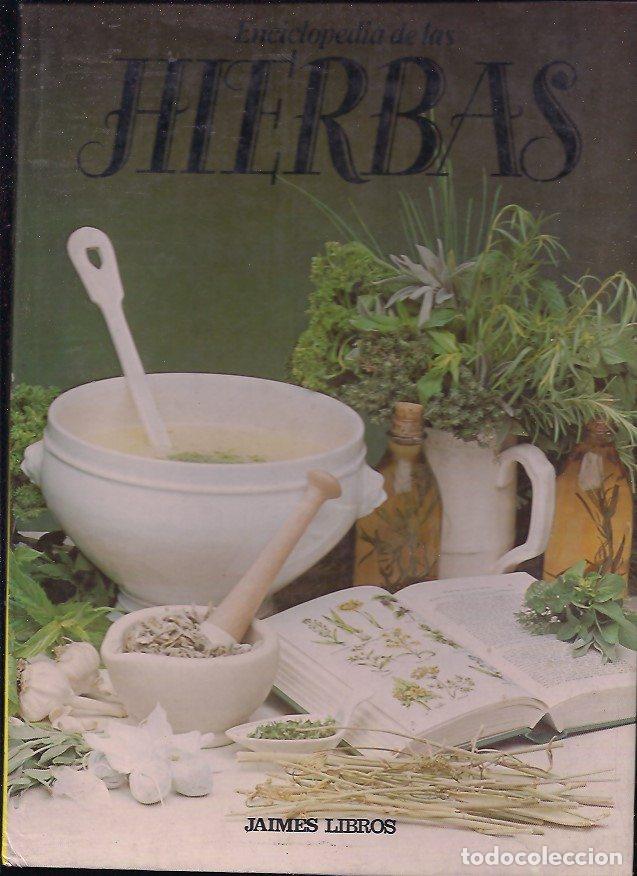 Libros: MUNDO DE LAS HIERBAS - EL - VARIOS - Foto 1