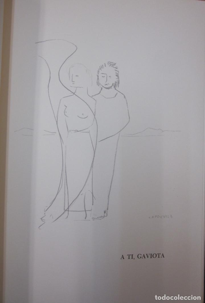 Libros: Lugares. Dibujos de Manuel Capdevila - SANCHO, JOSE MARIA - Foto 3