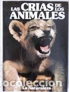 Libros: Las cr&iacute;as de los animales - Jane Burton - Foto 1