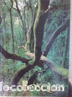 Libros: Bosques - Juanjo Alonso - Foto 1