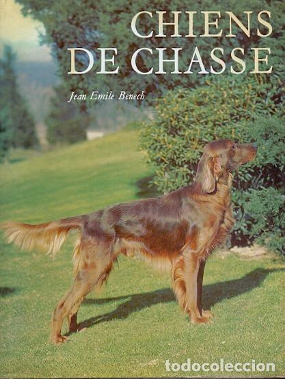 Libros: Chiens de Chasse - Emile Benech, Jean - Foto 1