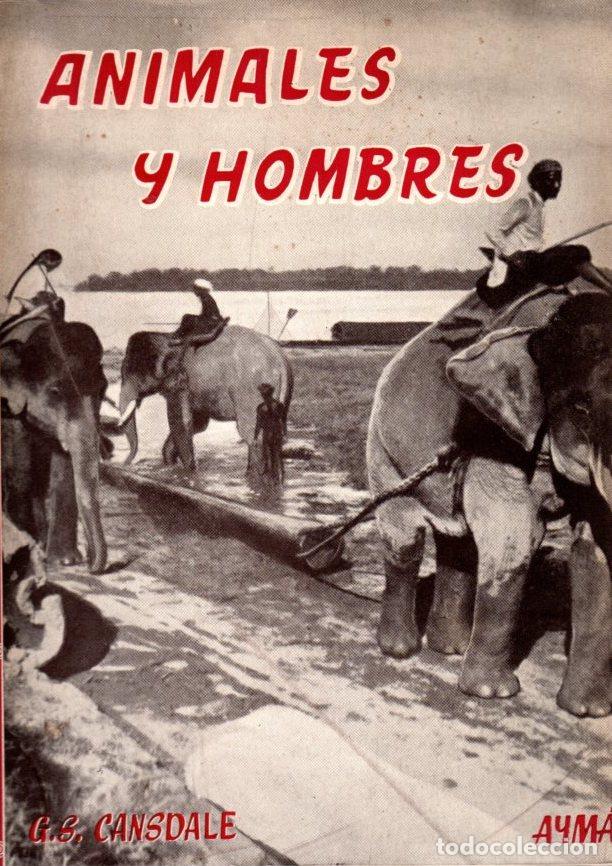 Libros: Animales y hombres - Cansdale, G.S. - Foto 1