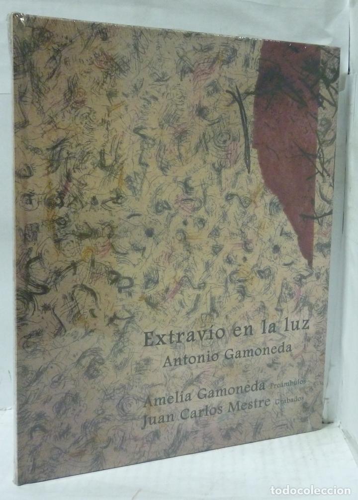 Libros: EXTRAVIO EN LA LUZ - Gamoneda, Antonio - Foto 1
