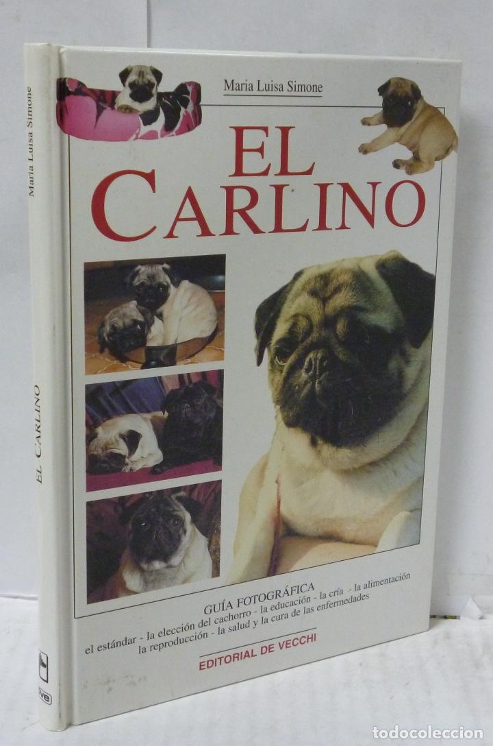 Libros: EL CARLINO - Simone, Maria Luisa - Foto 1