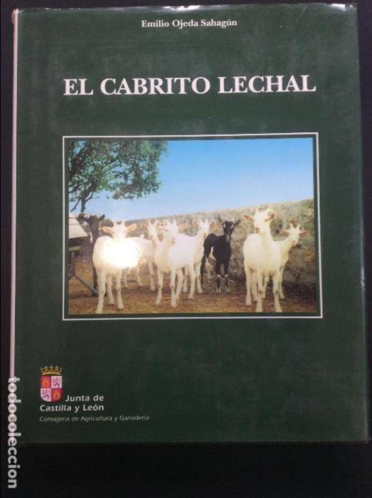 Libros: El cabrito lechal EMILIO OJEDA SAHAGUN CASTILLA Y LEON - Foto 1