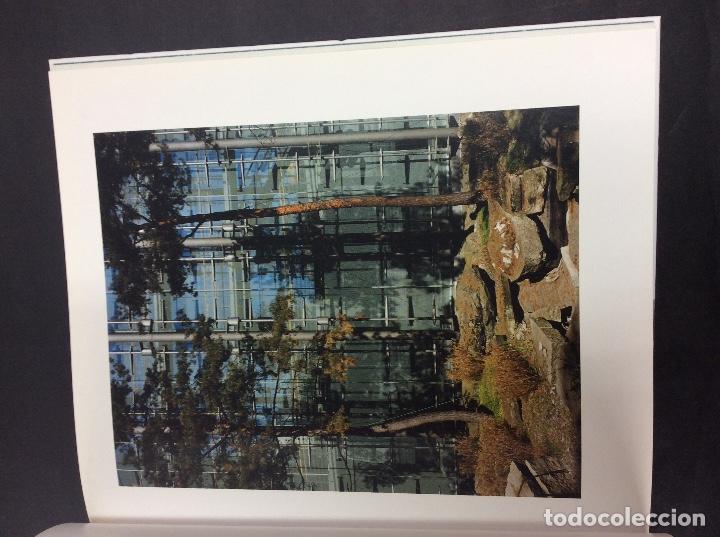 Libros: Jorge yergue paisajes minimos - Foto 2