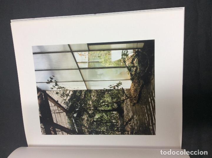 Libros: Jorge yergue paisajes minimos - Foto 4