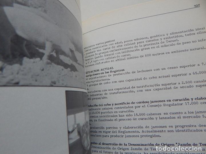 Libros: Porcino - Exclusivas One, 1&ordf; edici&oacute;n - Foto 11