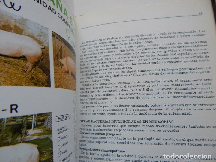 Libros: Porcino - Exclusivas One, 1&ordf; edici&oacute;n - Foto 13