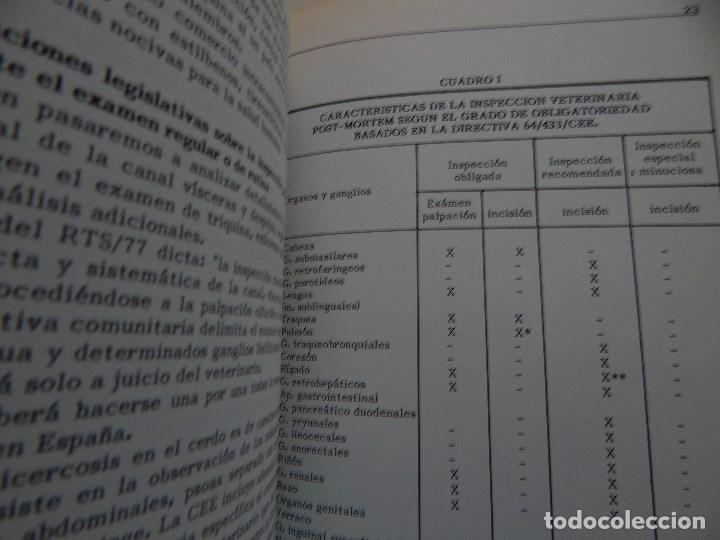 Libros: Porcino - Exclusivas One, 1&ordf; edici&oacute;n - Foto 15