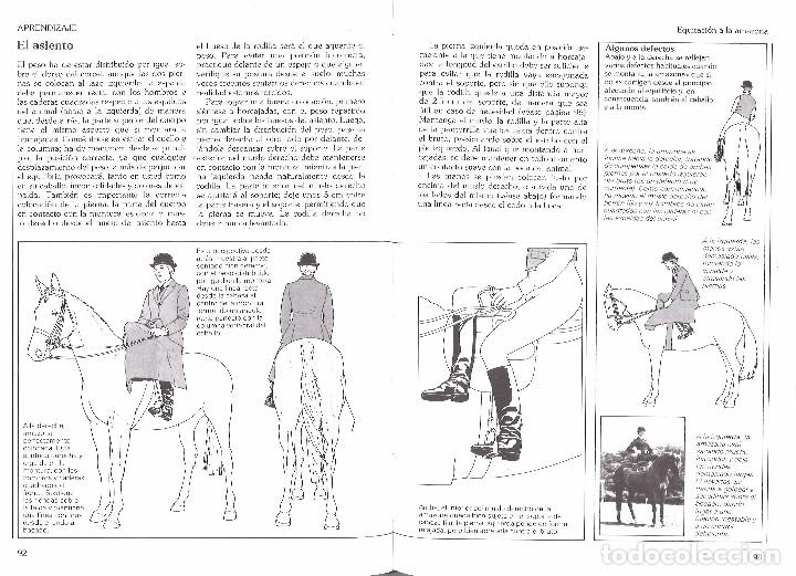 Libros: Manual de equitaci&oacute;n. Mary Gordon-Watson. 1984 - Foto 2