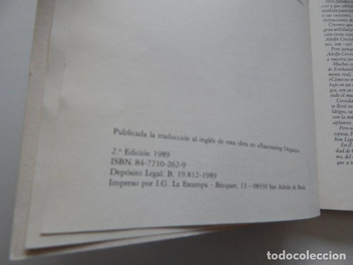 Libros: Fascinante Papiroflexia - Vicente Palacios - Foto 5