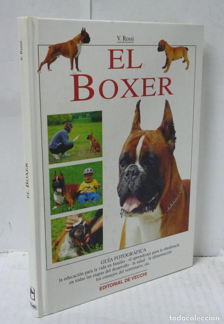 Libros: EL BOXER - Rossi, Valeria - Foto 1