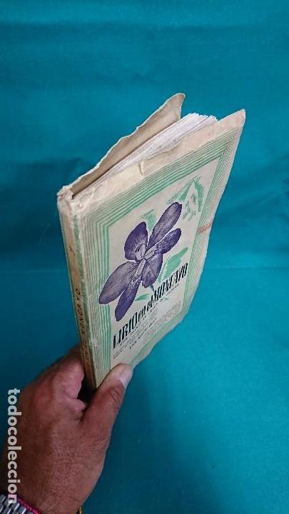 Libros: LIRIO EN EL MONCAYO, LU&Iacute;S GARC&Iacute;A ROYO - Foto 2