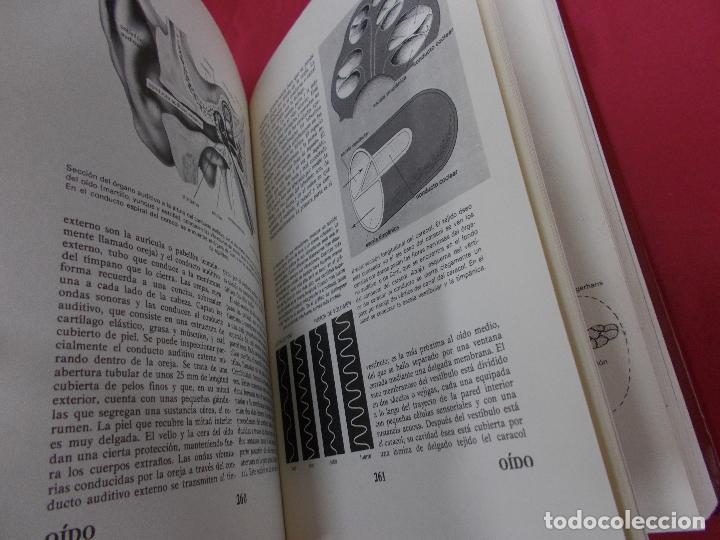 Libros: CURSO DE ORIENTACI&Oacute;N MATERNA. 6 TOMOS. EDICIONES NAUTA. 1984. - Foto 18