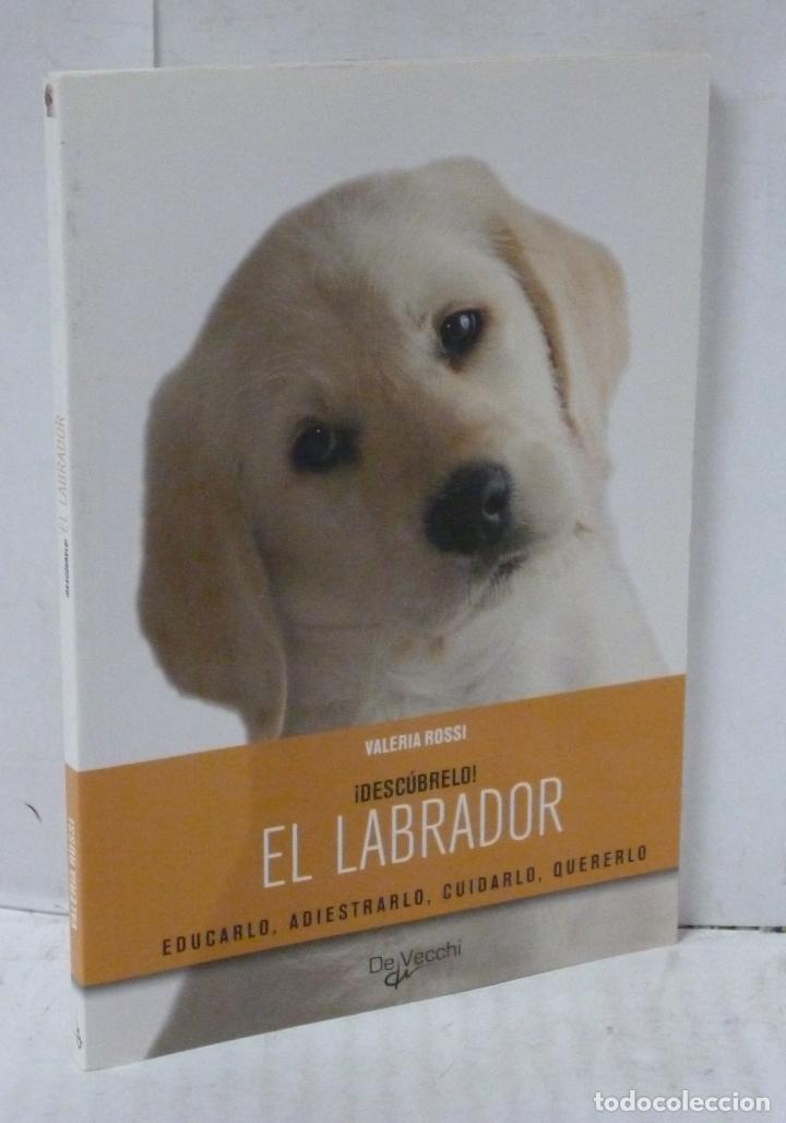 Libros: EL LABRADOR &iexcl;DESCUBRELO! - Rossi, Valeria - Foto 1