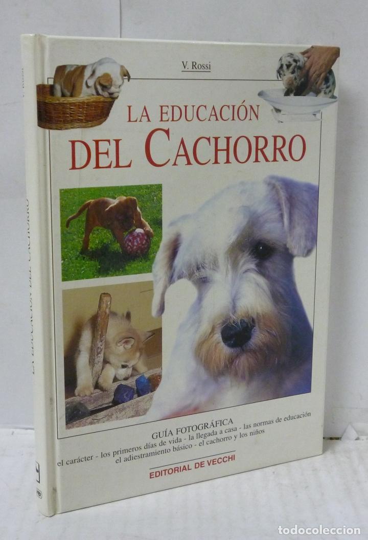 Libros: LA EDUCACION DEL CACHORRO - Rossi, Valeria - Foto 1
