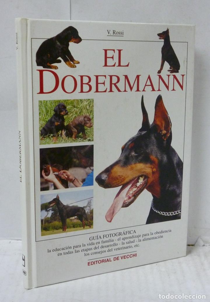 Libros: EL DOBERMANN - Rossi, Valeria - Foto 1
