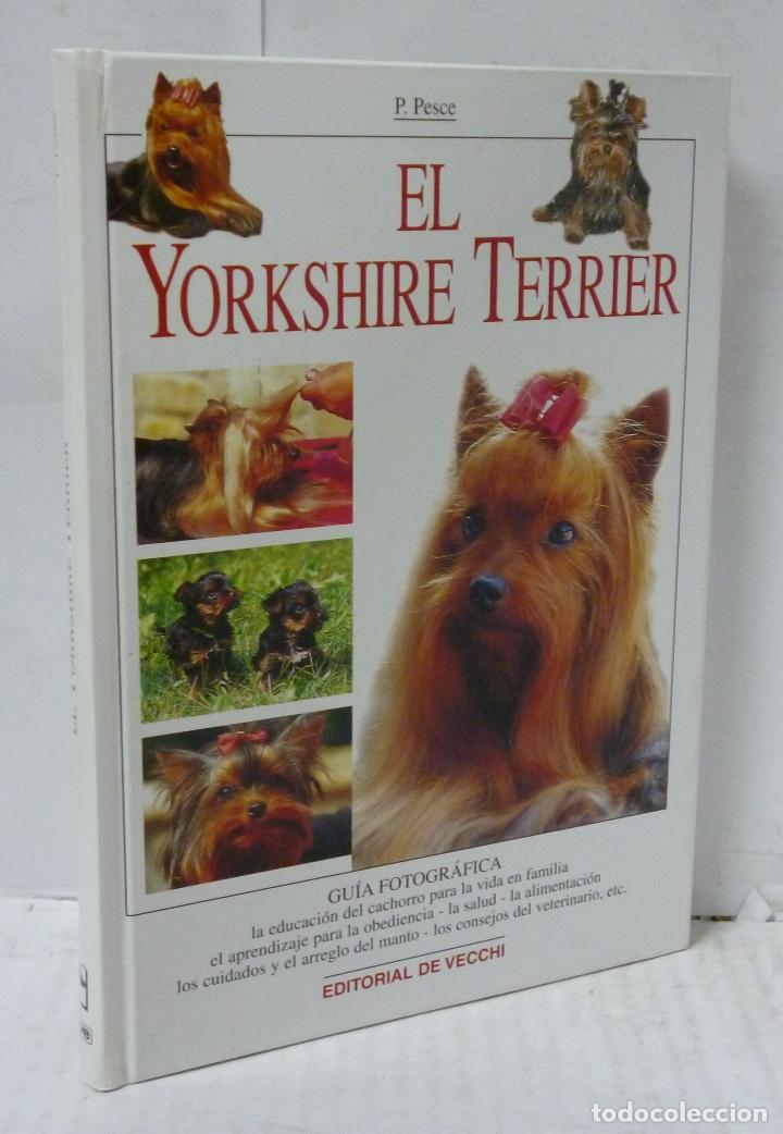 Libros: EL YORKSHIRE TERRIER - Pesce, P. - Foto 1