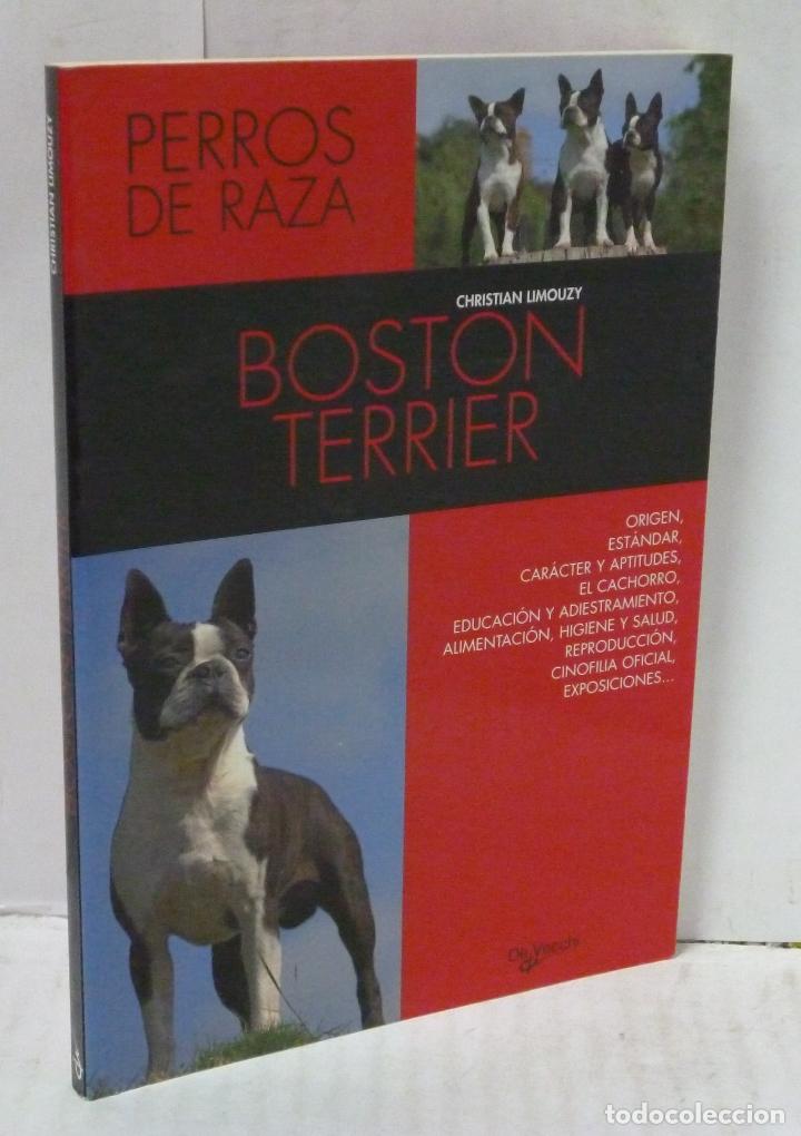 Libros: BOSTON TERRIER - Limouzy, Christian - Foto 1