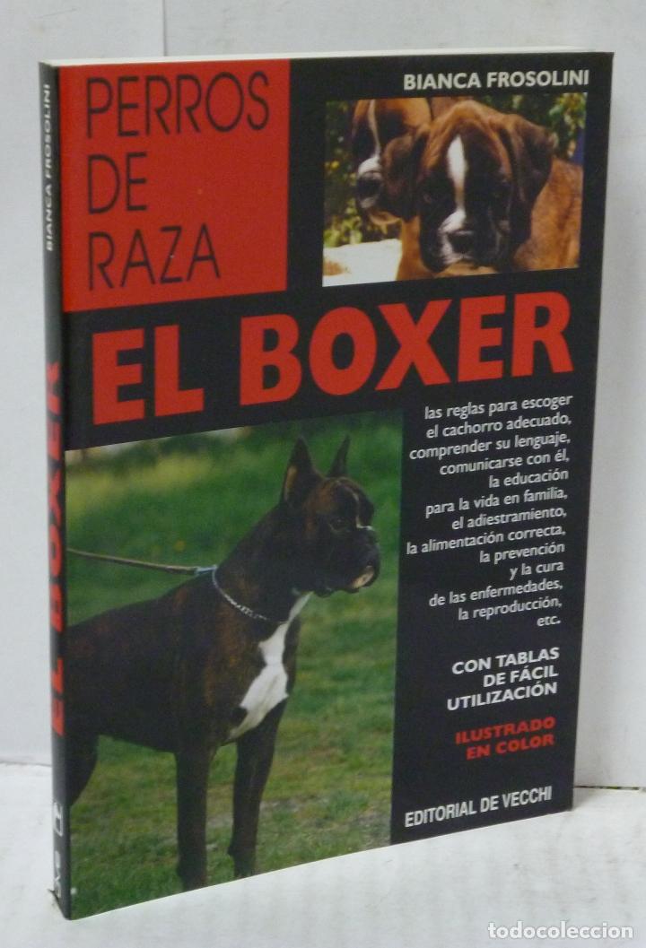 Libros: EL BOXER - Frosolini, Bianca - Foto 1