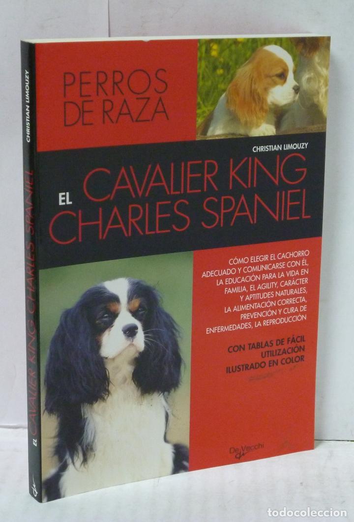 Libros: EL CAVALIER KING CHARLES SPANIEL - Limouzy, Christian - Foto 1
