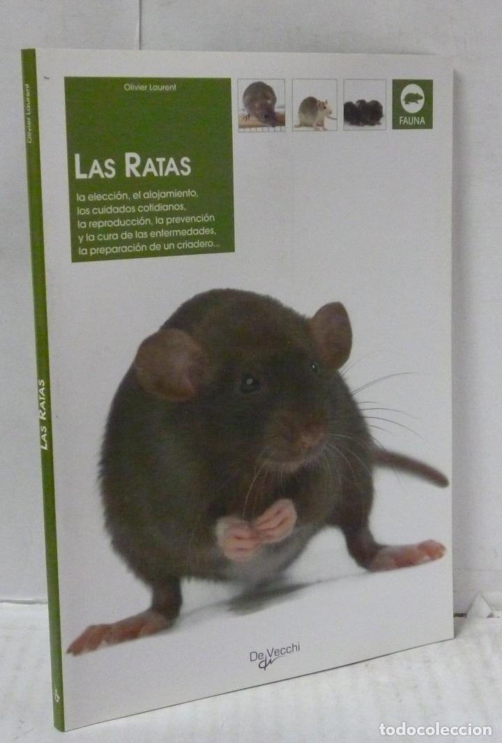 Libros: LAS RATAS - Laurent, Olivert - Foto 1