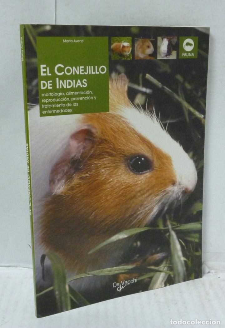 Libros: EL CONEJILLO DE INDIAS - Avanzi, Marta - Foto 1