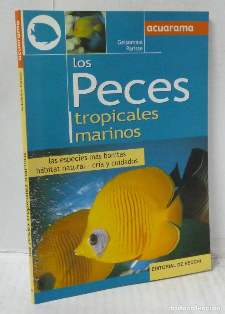 Livros em segunda m&atilde;o: LOS PECES TROPICALES MARINOS - Prisse, Gelsomina