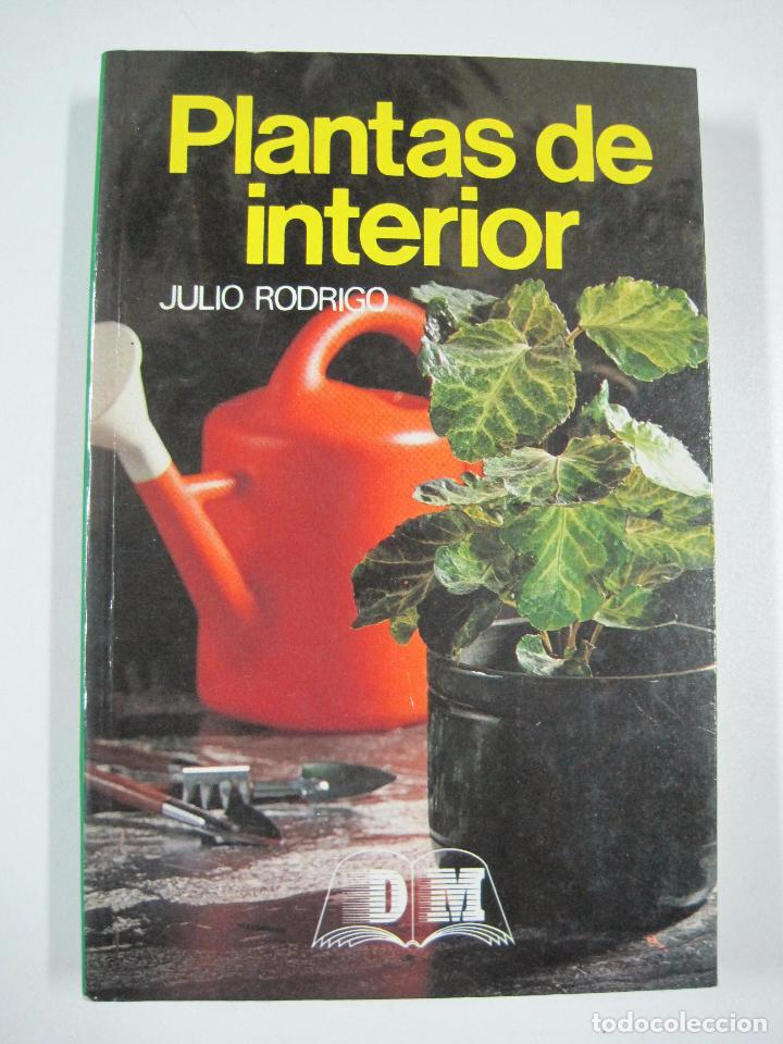 Libros: Plantas de interior / Julio Rodrigo - Foto 1