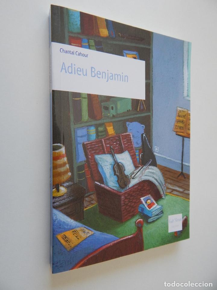 Libros: Adieu Benjamin - Chantal Cahour, 2009 - Foto 1