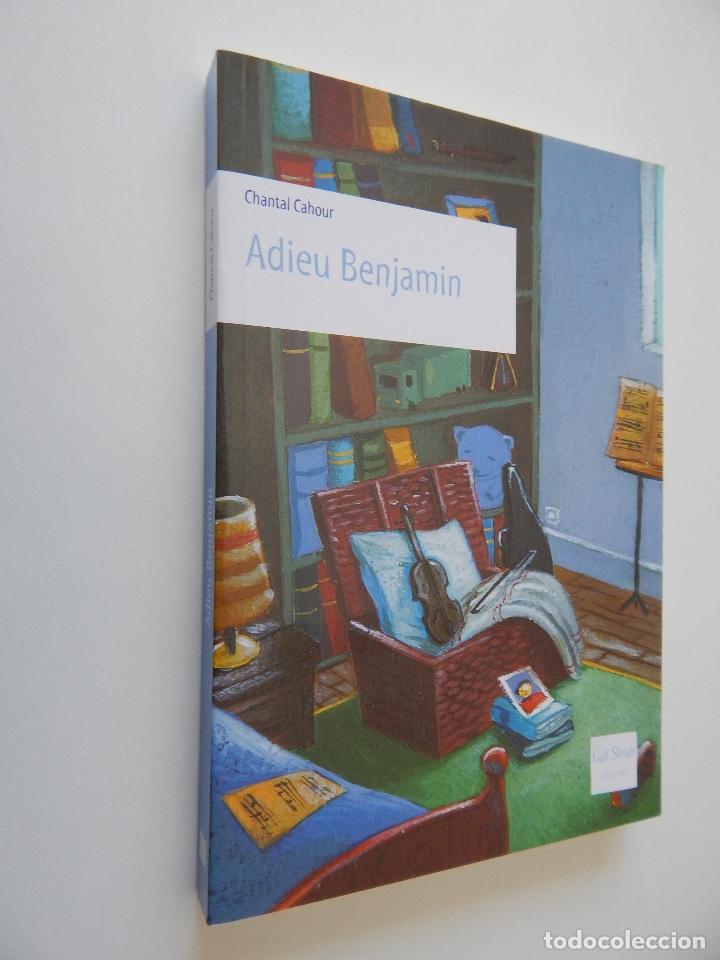 Libros: Adieu Benjamin - Chantal Cahour, 2009 - Foto 1