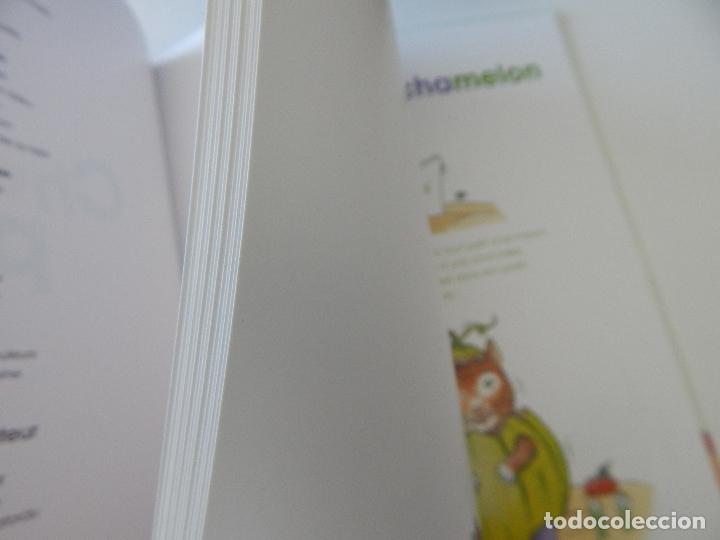 Libros: Chats, pitres et compagnie - Janine Teisson, Serge Ceccarelli - Foto 8