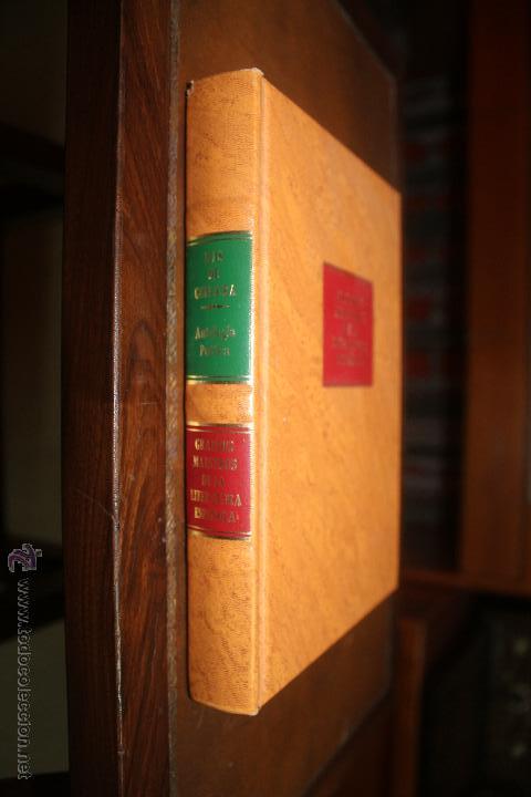 Libros: Antolog&iacute;a Po&eacute;tica - Luis de Gongora - Foto 1
