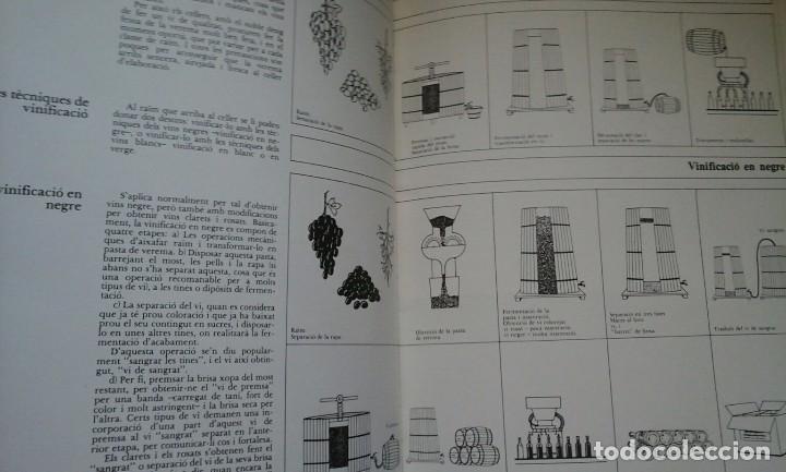 Libros: Els vins de Catalunya. - Foto 2
