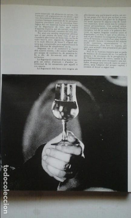 Libros: Els vins de Catalunya. - Foto 3