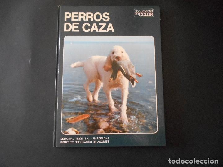 books: perros de caza