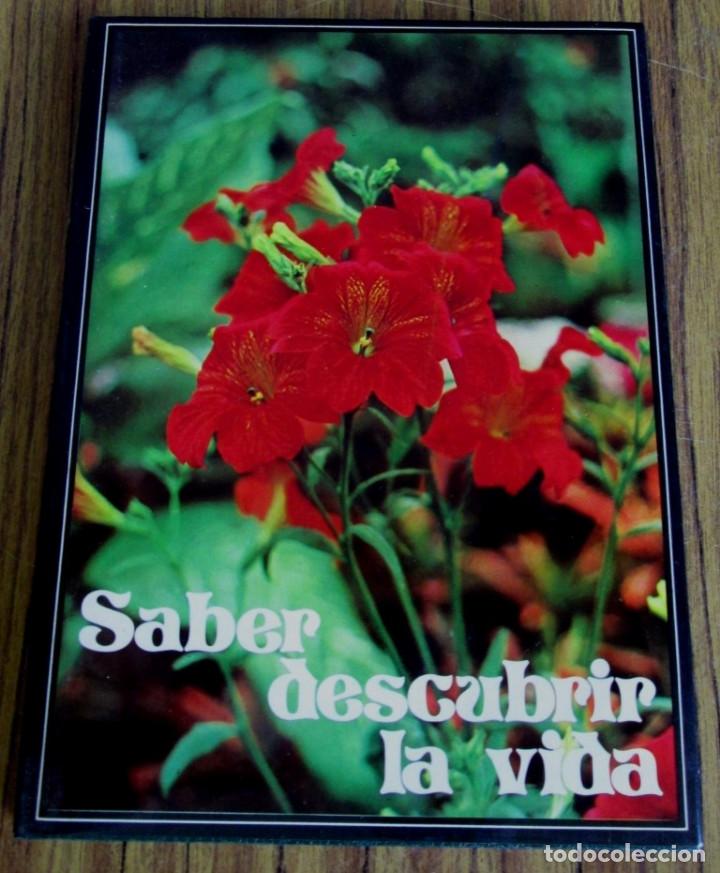Libros: SABER DESCUBRIR LA VIDA - Ediciones Paulinas 1982 - Foto 1