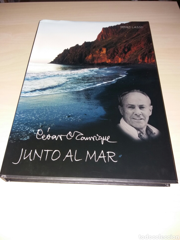 Libros: C&Eacute;SAR MANRIQUE - JUNTO AL MAR - Foto 1